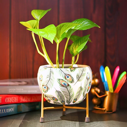 Peacock White Printed Metal Pot with stand- 5 inches (Only Pot)