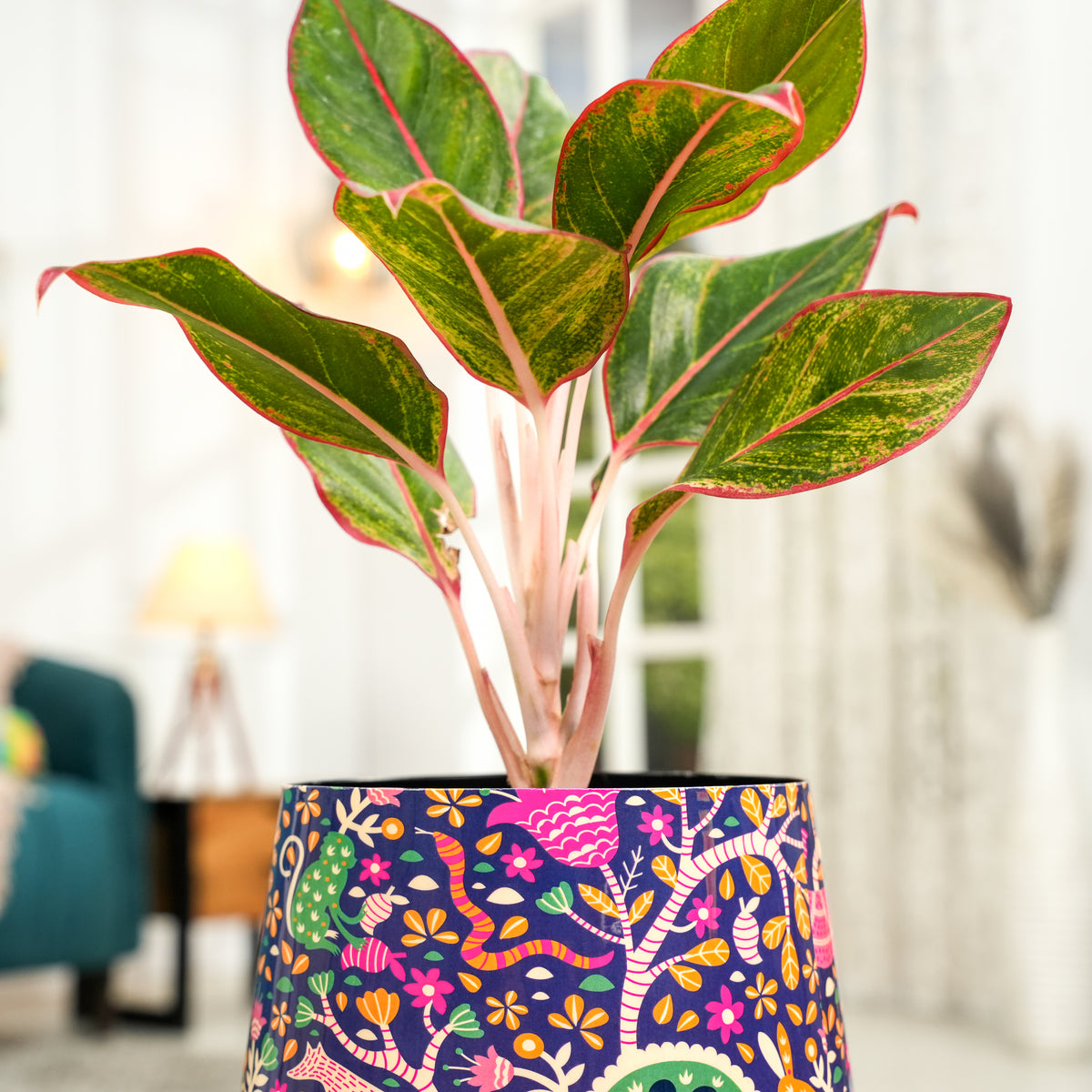 Jungle Aesthetic Meena Metal Pot- 5 inches (Only Pot)