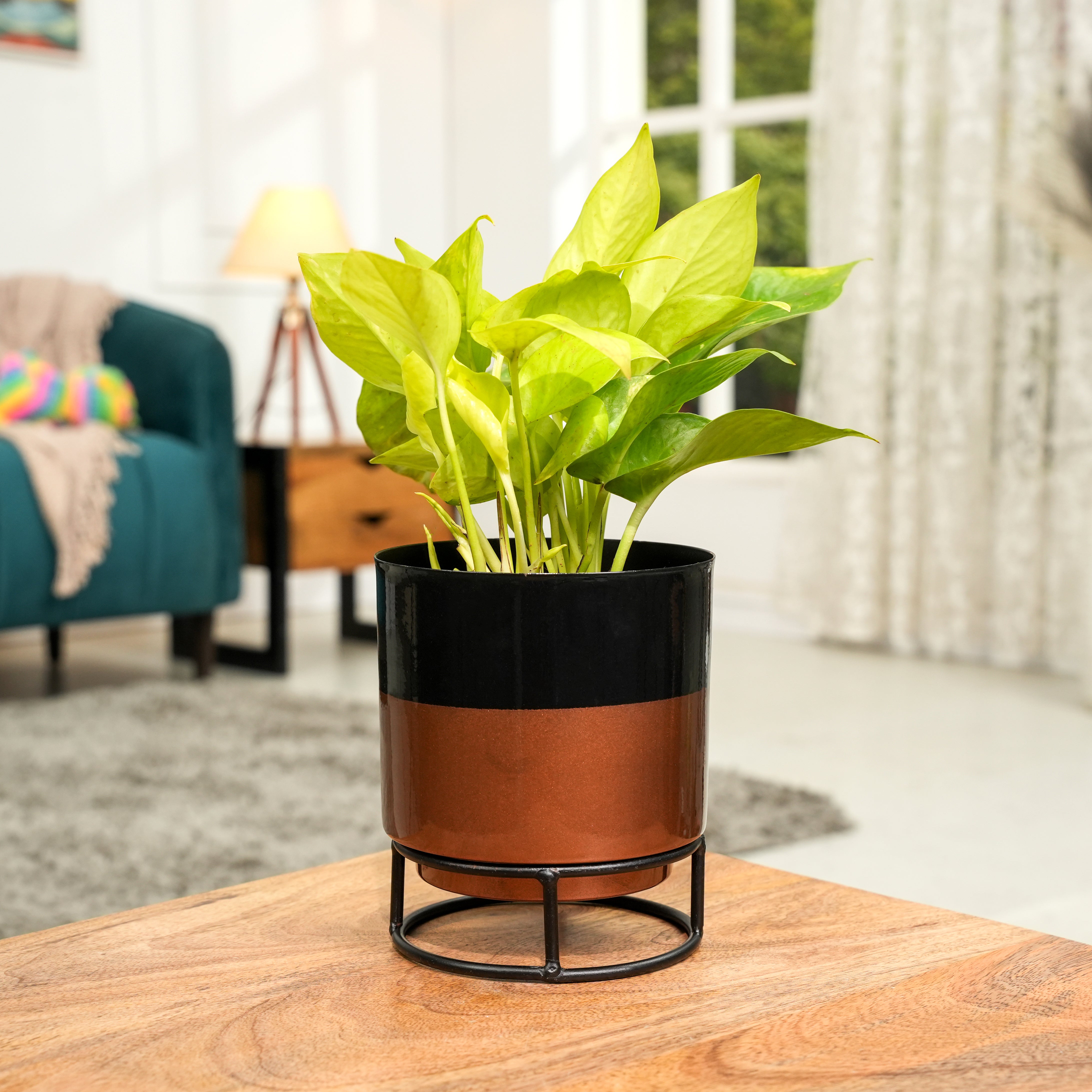 Royal Black and copper Powder Coated Metal Pot with stand - 5 inches ...