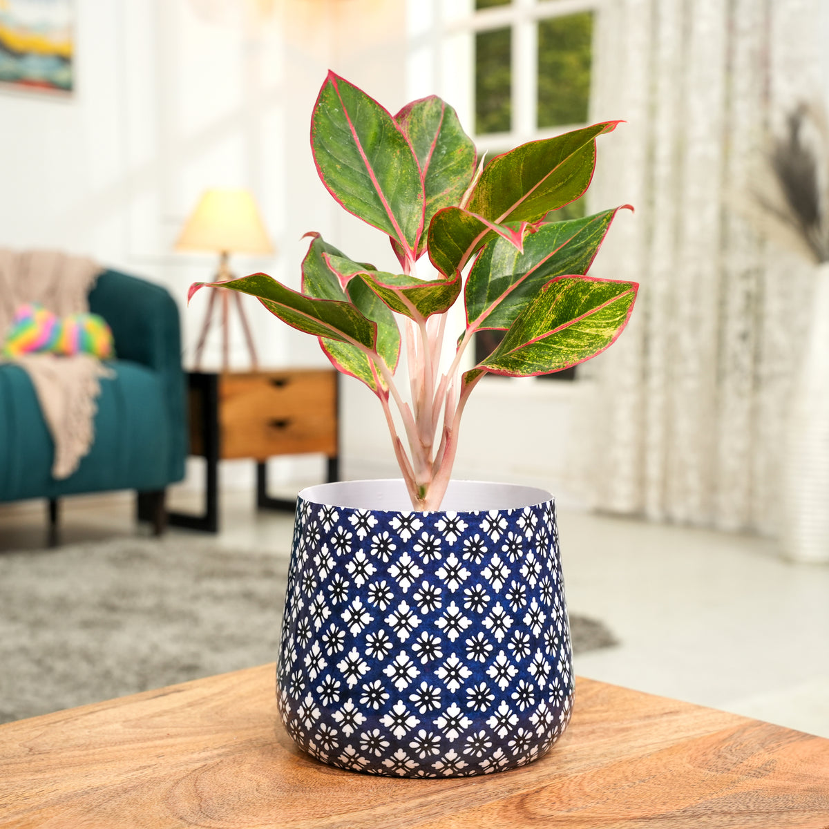 Navy Floral Meena Metal Pot- 5 inches (Only Pot)
