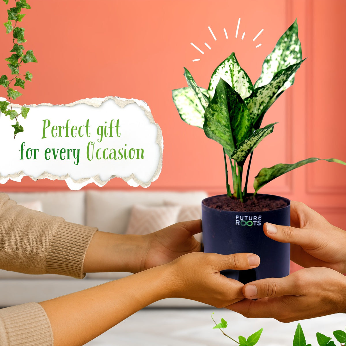 Snow White Aglaonema – Exotic Indoor Plant with White-Green Leaves (Low Maintenance, 4 Inch Pot)