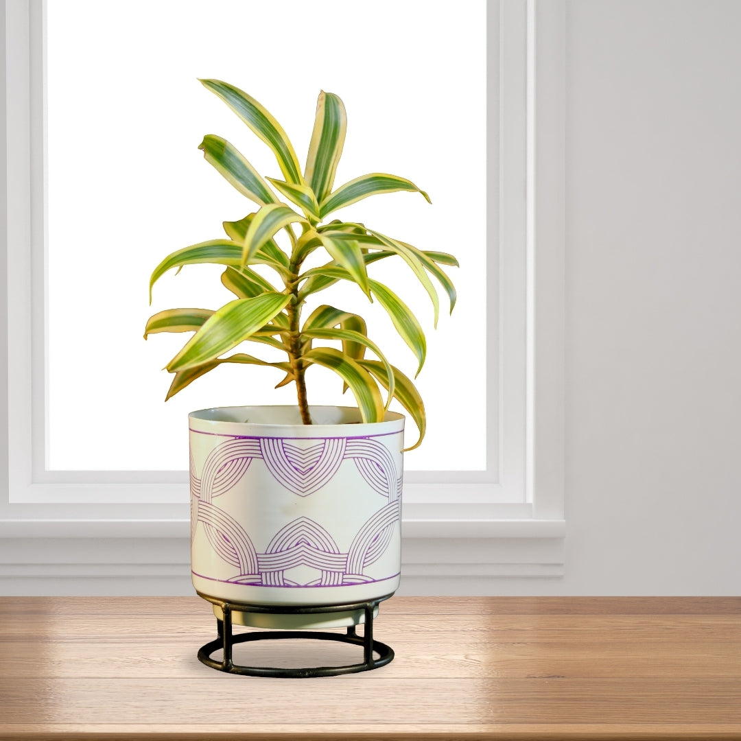 Metal Pot White with Round Stand Leaf Design for Indoor Outdoor Use, Rust-Free & Powder Coated - Pot Size: 13 x 13 cm